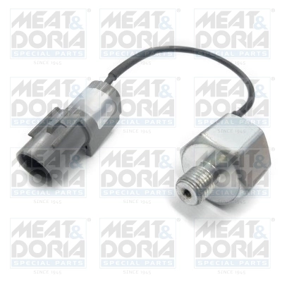 Knock Sensor